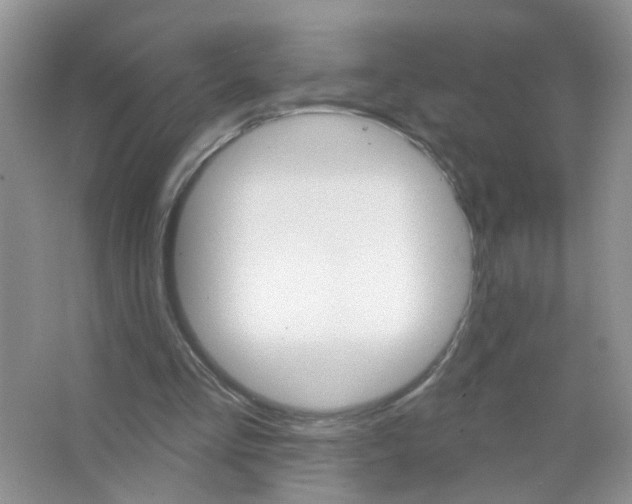 X0000063480293200602172031