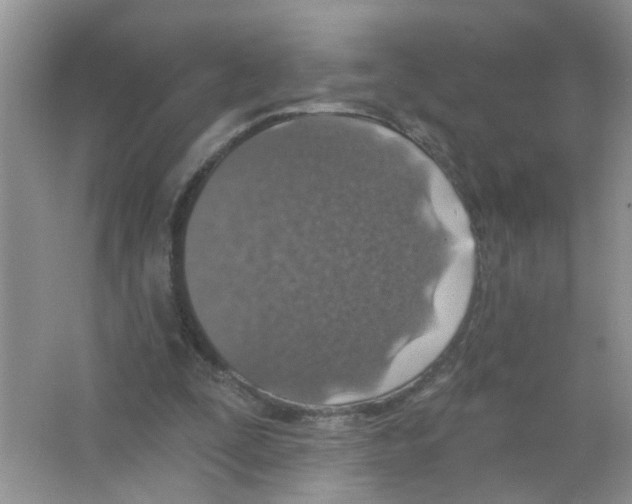 X0000063480295200602172031