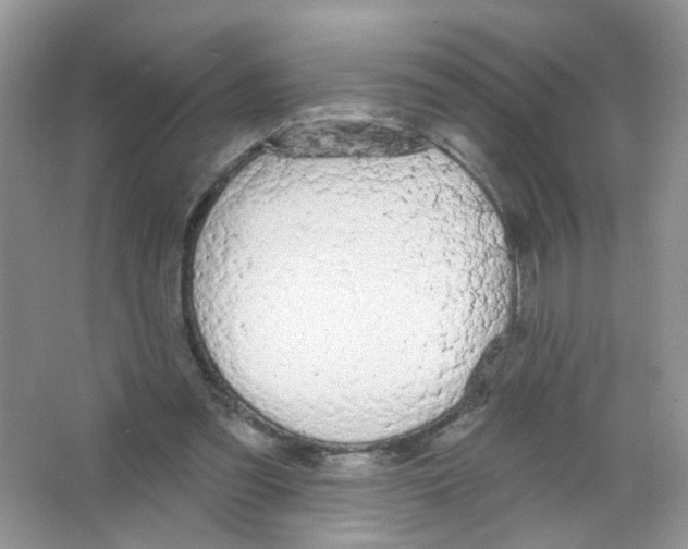 X0000063480301200602172031
