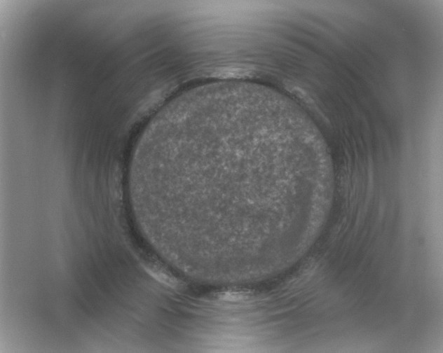 X0000063480303200602172031