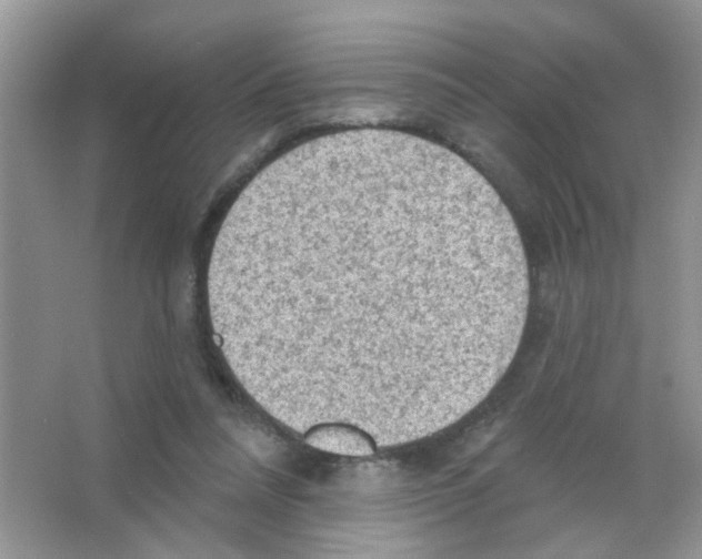 X0000063480304200602172031