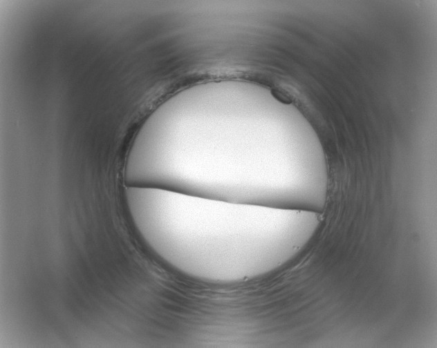 X0000063480309200602172030