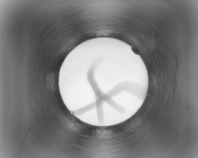 X0000063480311200602172030