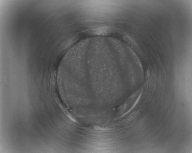 X0000063480325200602172030