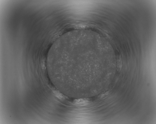 X0000063480331200602172030