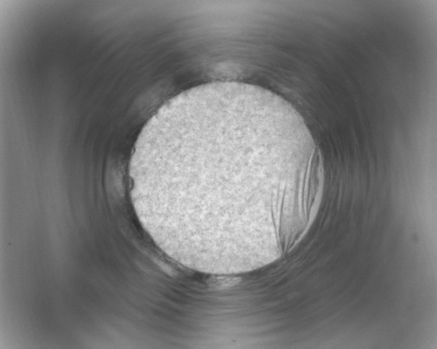 X0000063480334200602172030