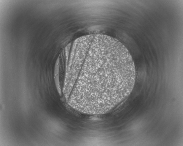 X0000063480335200602172030
