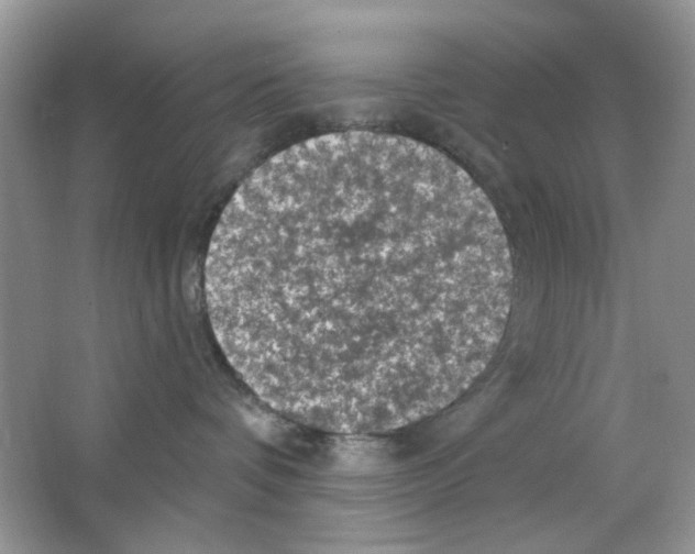 X0000063480336200602172030