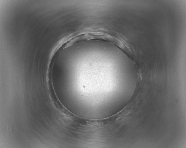 X0000063480340200602172029