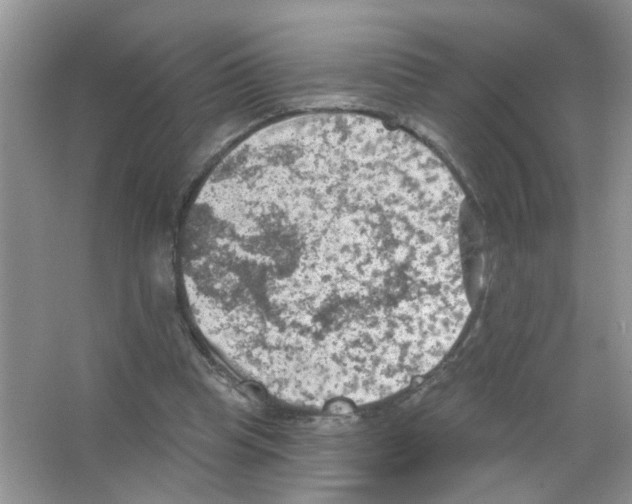 X0000063480345200602172029