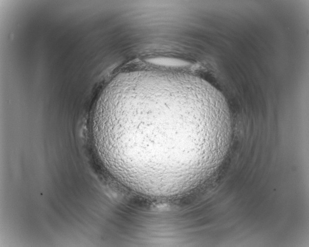 X0000063480360200602172030
