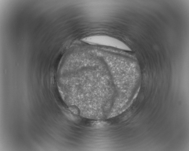 X0000063480379200602172030