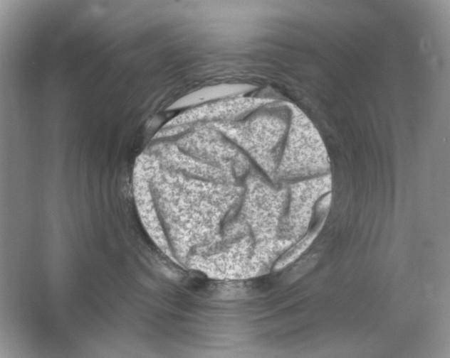 X0000063480384200602172030