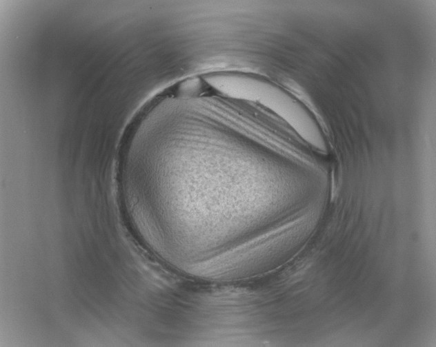 X0000063480387200602172029