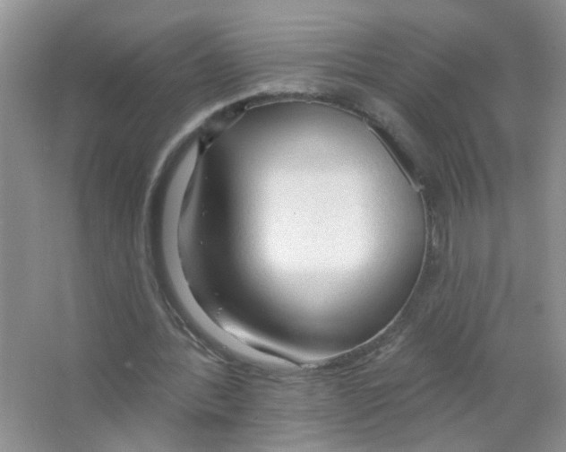 X0000063480388200602172029