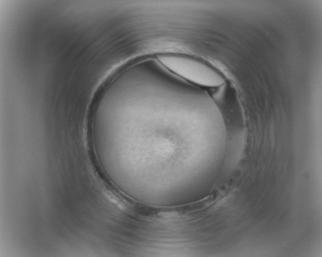 X0000063480391200602172029