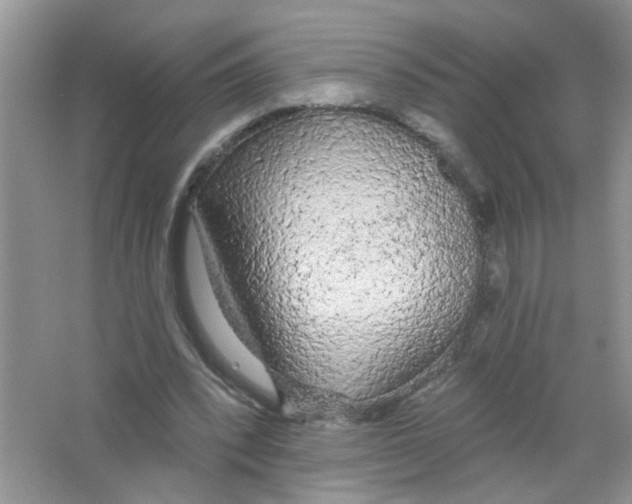 X0000063480392200602172029
