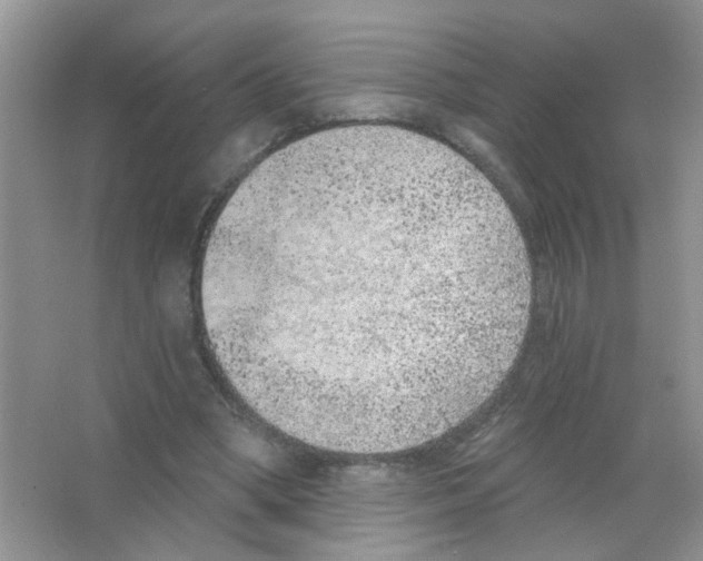 X0000063480394200602172029