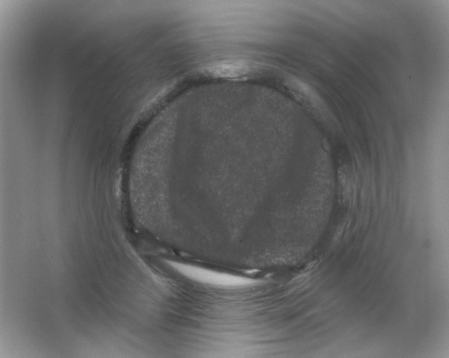 X0000063480404200602172029