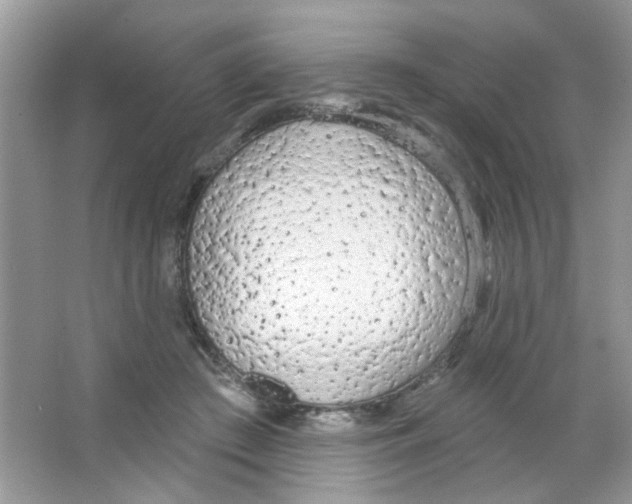 X0000063480409200602172029