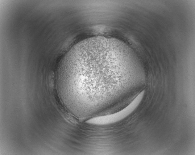 X0000063480413200602172029
