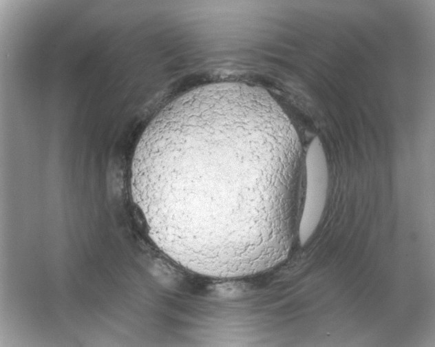 X0000063480417200602172029