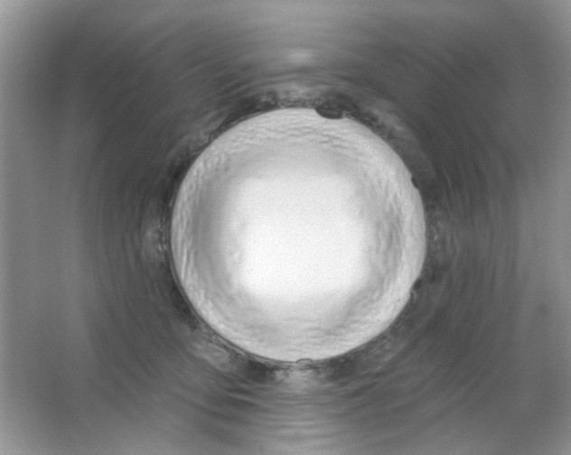 X0000063480419200602172028