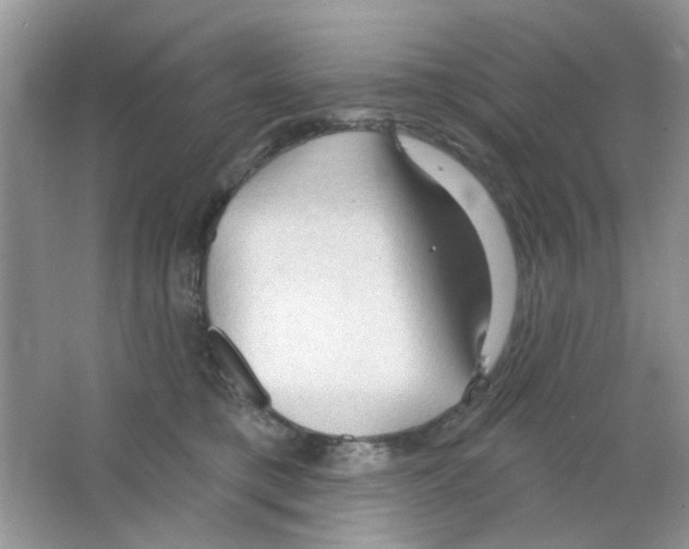 X0000063480421200602172028