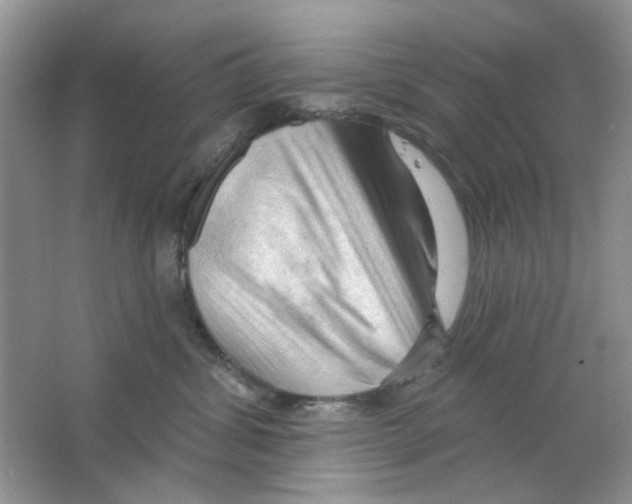 X0000063480428200602172028