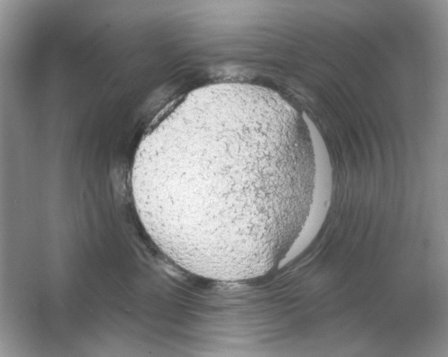 X0000063480429200602172028