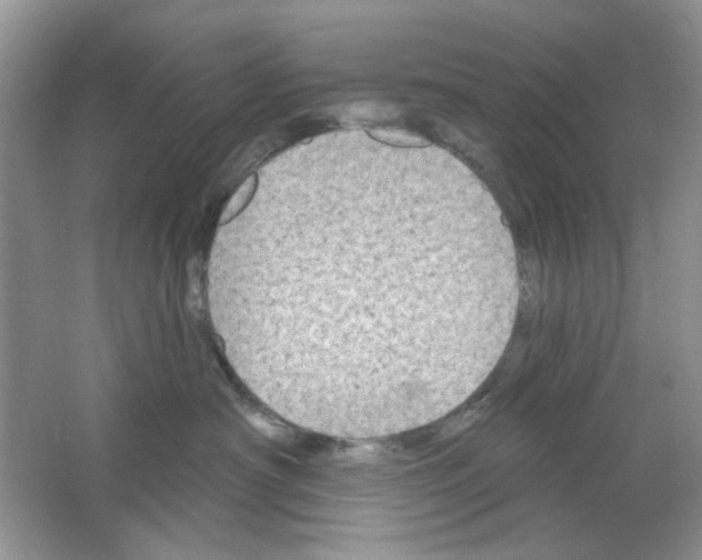 X0000063480430200602172028