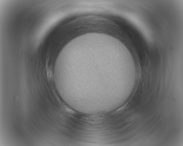 X0000063480431200602172028