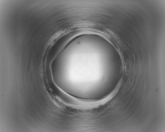 X0000063480436200602172027