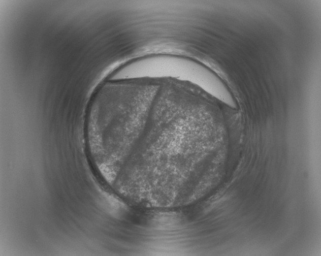 X0000063480438200602172027