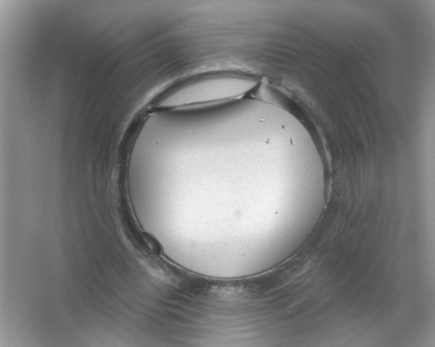 X0000063480440200602172028