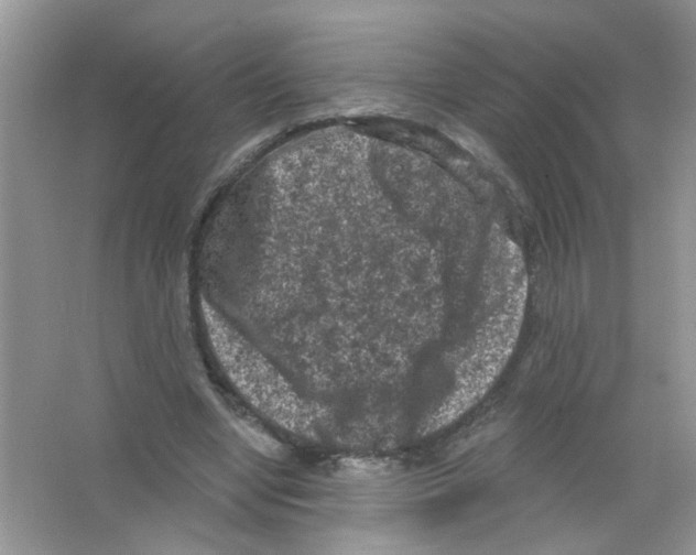 X0000063480442200602172028