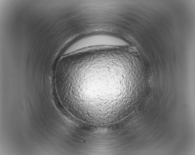 X0000063480444200602172028
