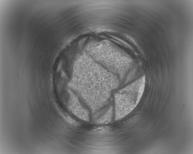 X0000063480447200602172028