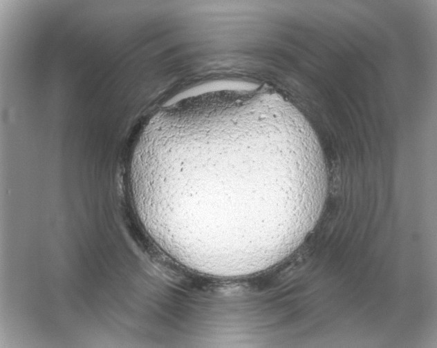 X0000063480456200602172028