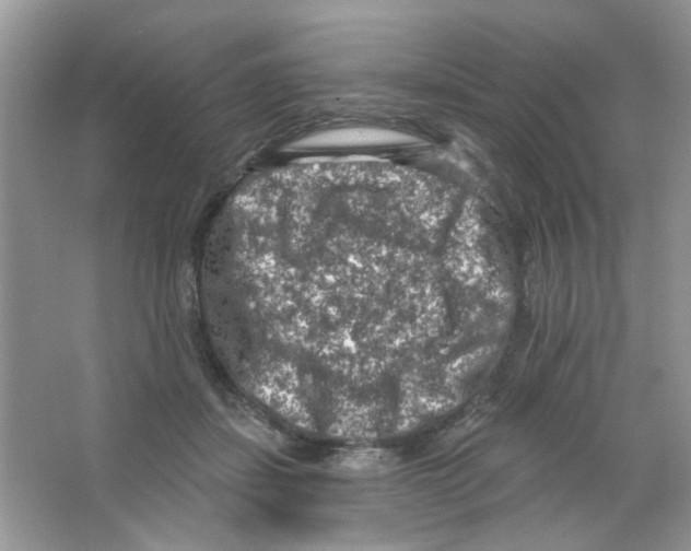 X0000063480459200602172028
