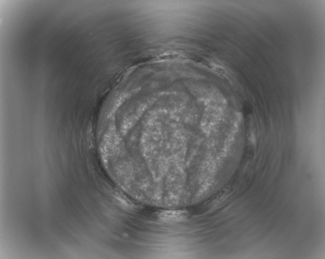 X0000063480465200602172028