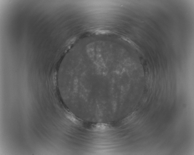 X0000063480475200602172028