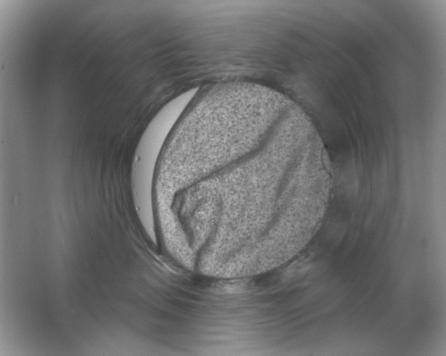 X0000063480479200602172028