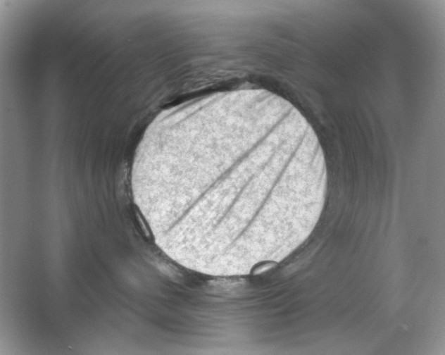 X0000063480480200602172028