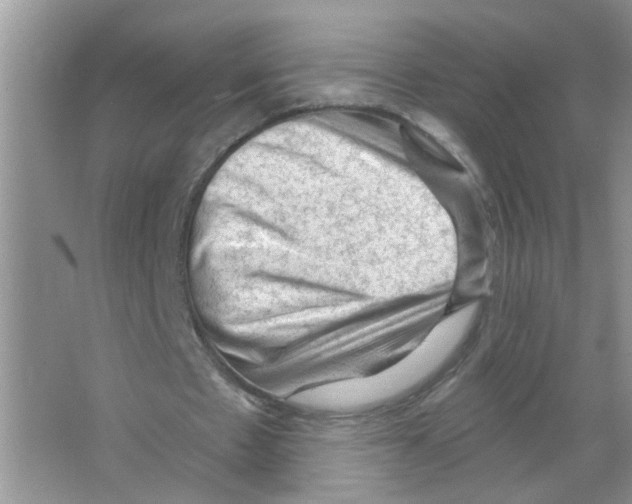 X0000063480481200602172027