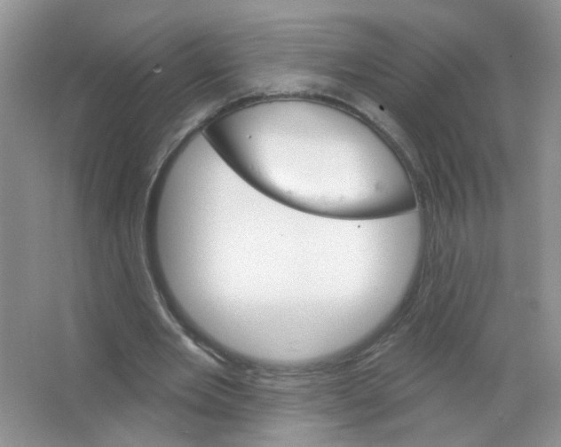 X0000063480485200602172027