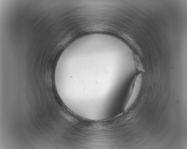 X0000063480489200602172027
