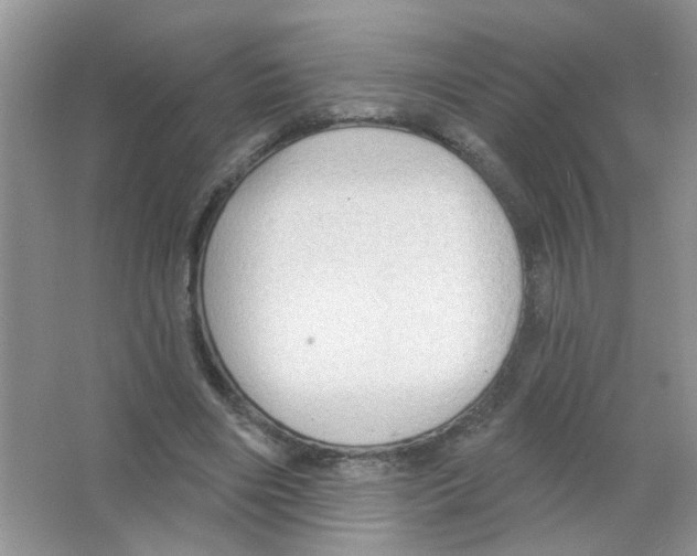 X0000063480490200602172027