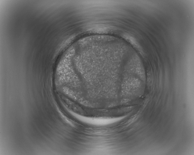 X0000063480493200602172027