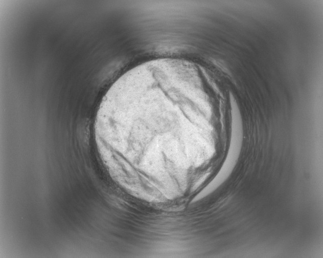 X0000063480495200602172027